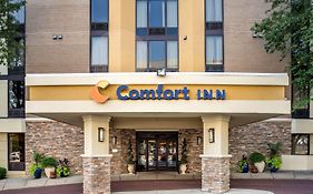 Comfort Inn Shady Grove Md